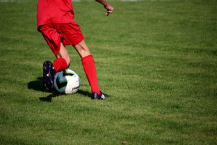 九游电脑版-校园足球教练培训体系现状与改革思路，校园足球师资培训