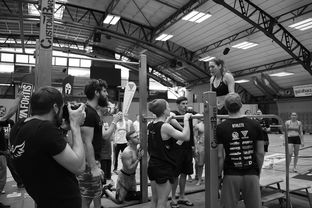 九游app下载-“2025世界游泳锦标赛：水上芭蕾精彩纷呈，艺术之美与竞技并行”